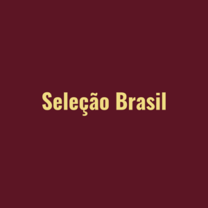 Camisa Seleção Brasil 25/26