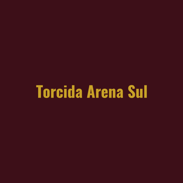 Torcida na Arena Sul